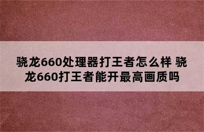 骁龙660处理器打王者怎么样 骁龙660打王者能开最高画质吗